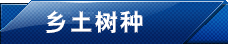 ̼�R����N